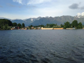 Jewel Of Kashmir Heritage Group Of House Boat